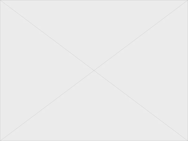 【アパレル】GReEN™オリジナルプリントスウェット / ブロッコリートレーナー / 12.7オンス / ヘヴィーウェイト / クルーネック / スウェット(裏パイル)